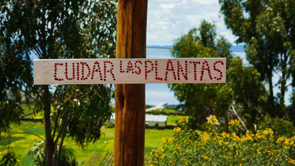 Naturaleza en comunidad de Luquina