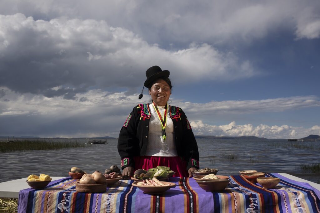 PNUD_PUNO_0096